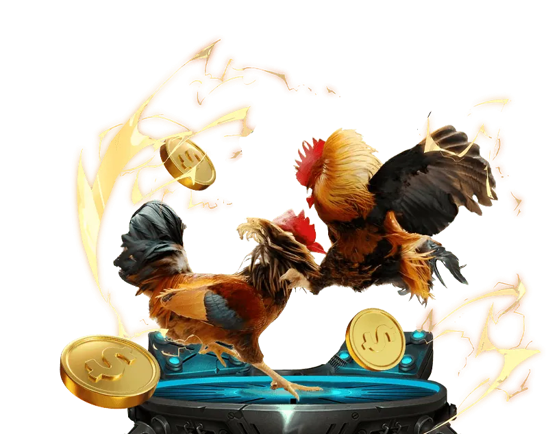 Đá gà Campuchia tại man.clup